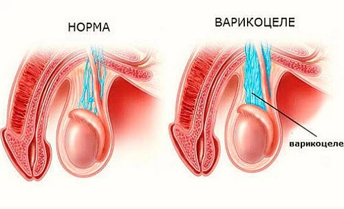9e7467cc3d0aa9d6f0b382956451bab5.jpg